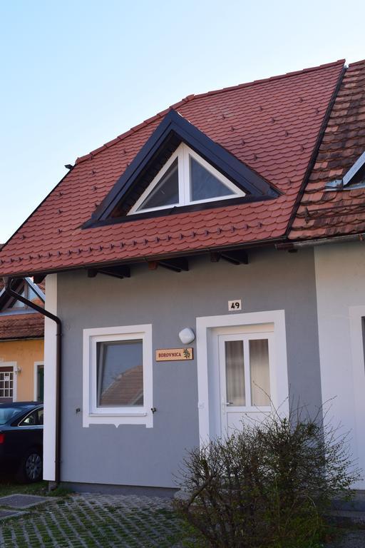 Borovnica Catez Apartman Catez ob Savi Kültér fotó