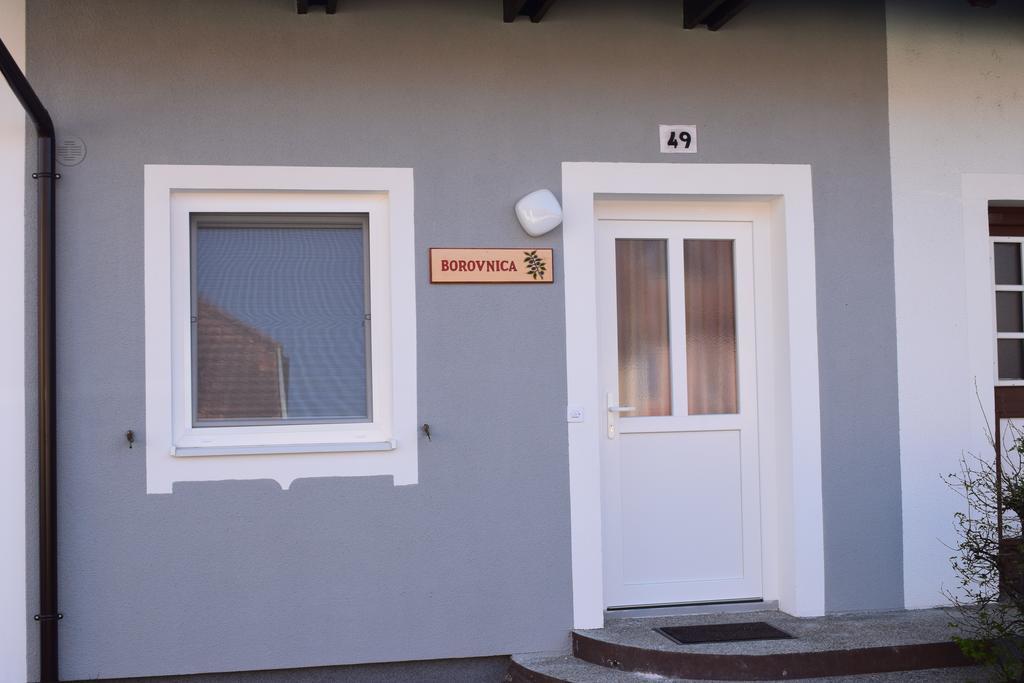 Borovnica Catez Apartman Catez ob Savi Kültér fotó